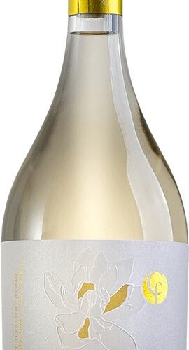 Collefrisio Magnolia Bianco - Terre di Chieti IGT