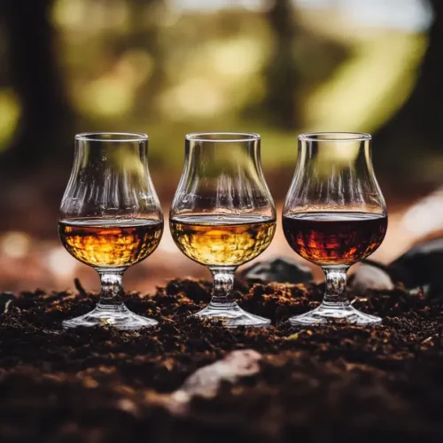 1x Toegangskaart Smoky/Peated Whisky Proeverij - Vrijdag 30 Oktober 2026